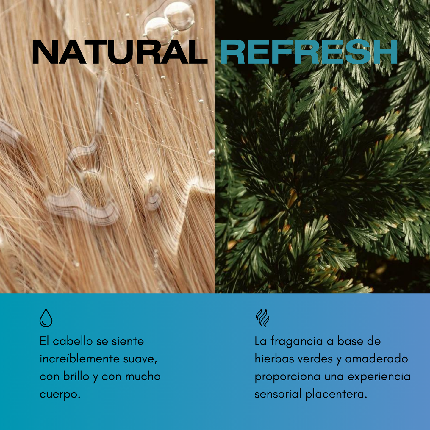 Champú Gloss Premium Purificante