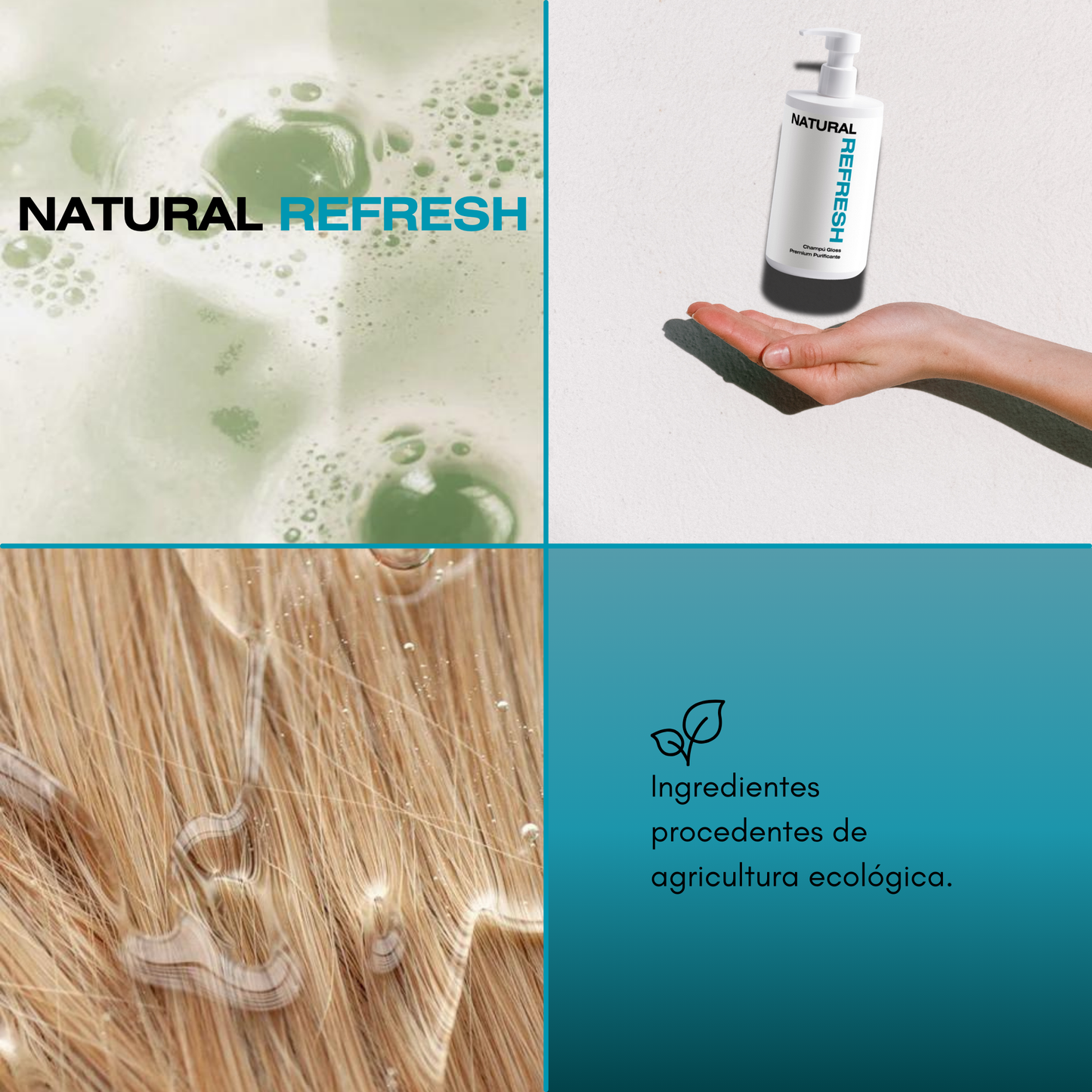 Champú Gloss Premium Purificante