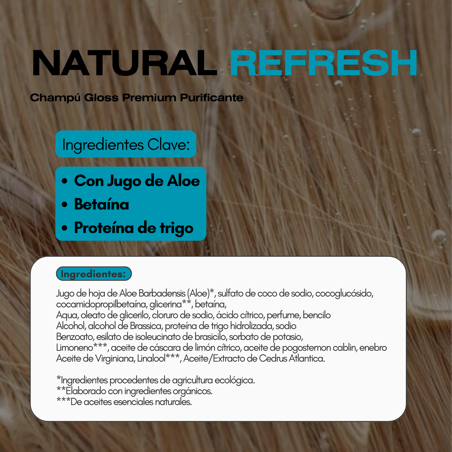 Champú Gloss Premium Purificante