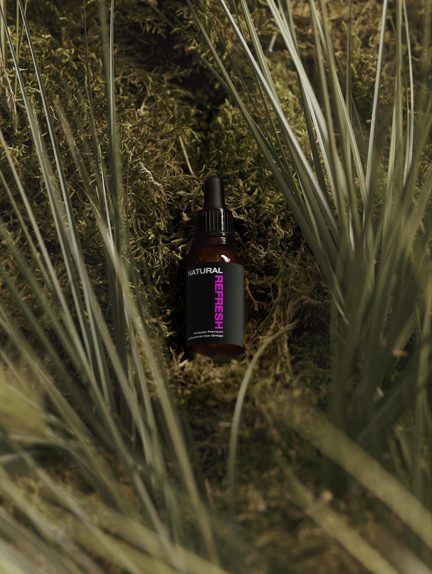 Premium Antioxidant Environmental Protector With Ginkgo