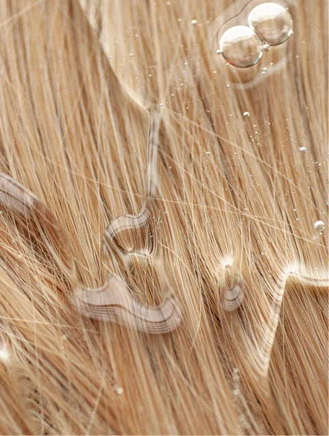 Champú Gloss Premium Purificante